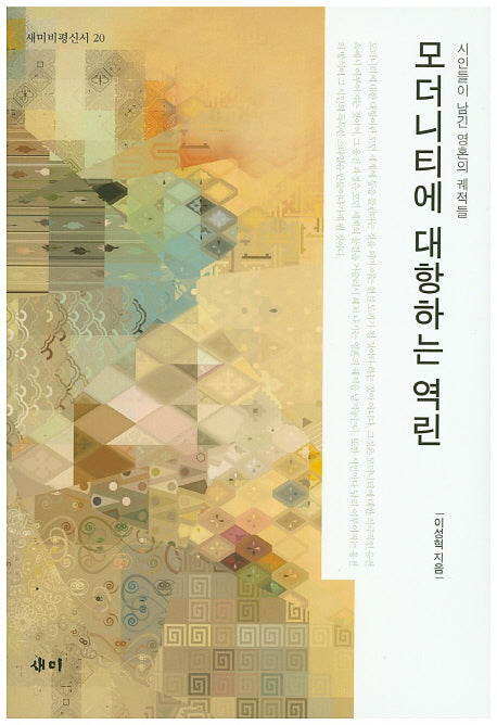 모더니티에 대항하는 역린(새미비평신서 20)