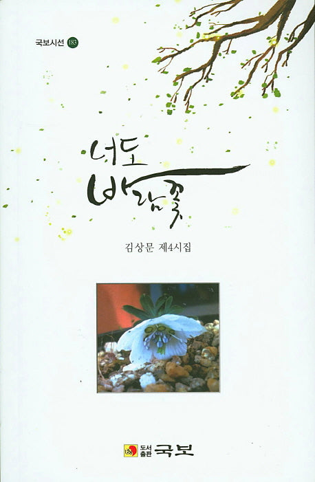 너도 바람꽃(국보시선 183)