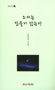 소리는 잠들지 않는다(국보시선 206)