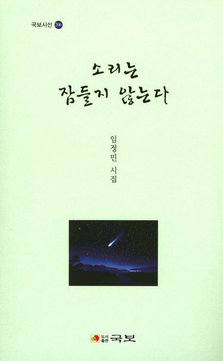 소리는 잠들지 않는다(국보시선 206)