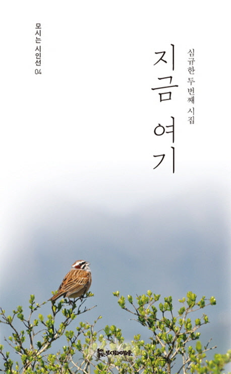지금 여기(모시는 시인선 4)