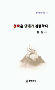 성곽을 안개가 점령하다(문학광장 시선 135)