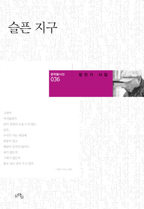 슬픈 지구(문학들시선 36)(양장본 HardCover)