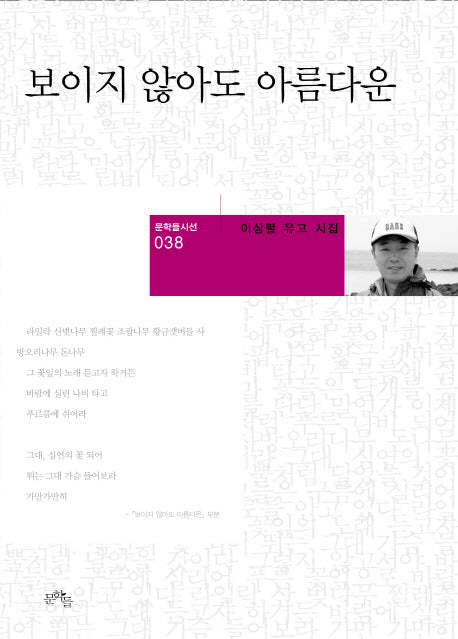 보이지 않아도 아름다운(문학들시선 38)(양장본 HardCover)