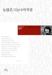 눈많은그늘나비처럼(문학들 시선 44)