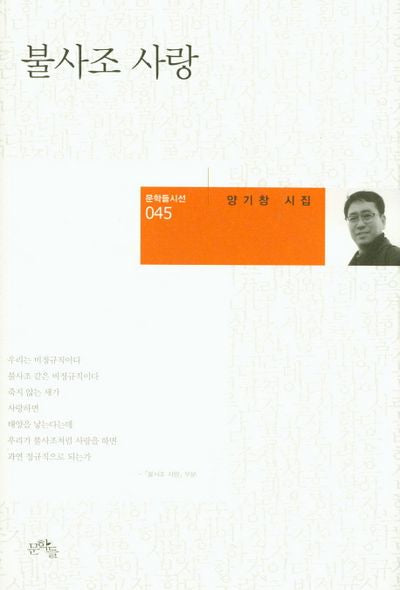 불사조 사랑(문학들시선 45)(양장본 Hardcover)