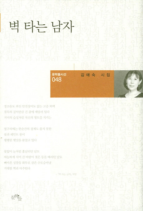 벽 타는 남자(문학들시선 48)(양장본 HardCover)