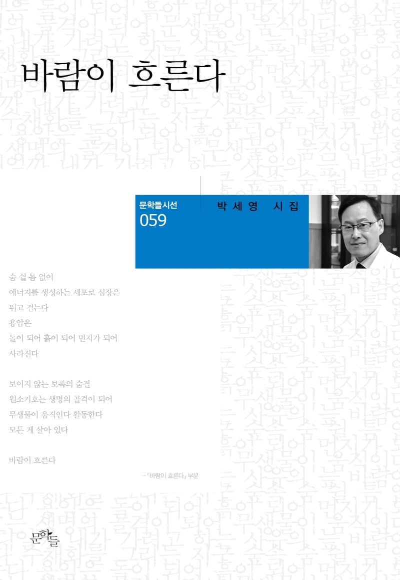 바람이 흐른다(문학들 시선 59)(양장본 HardCover)