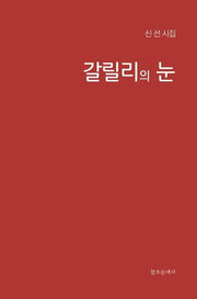 갈릴리의 눈(양장본 HardCover)
