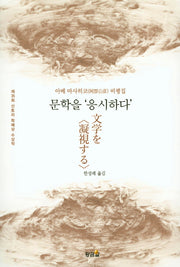 문학을 응시하다