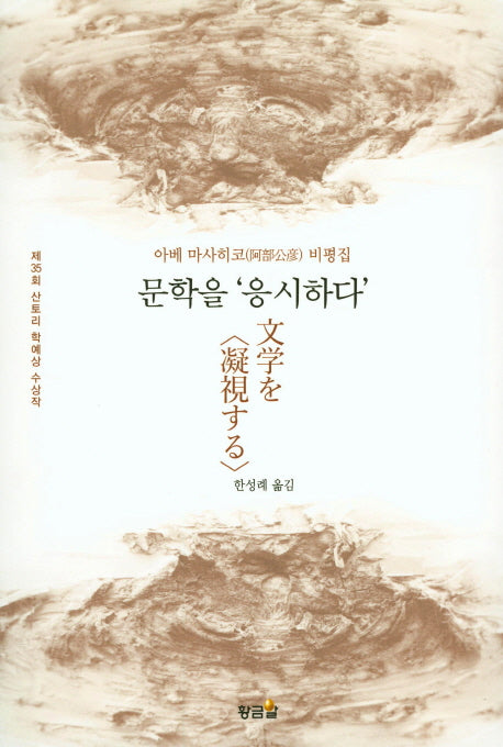 문학을 응시하다