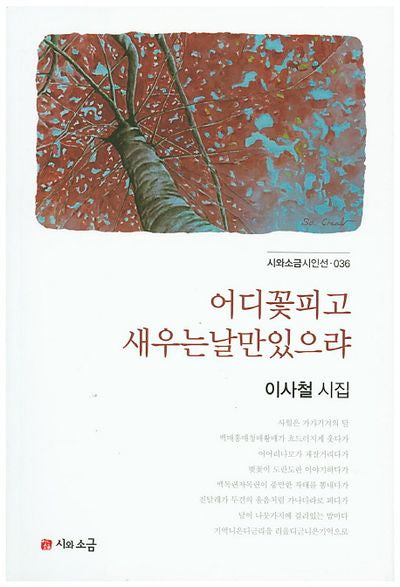 어디꽃피고 새우는날만있으랴(시와소금시인선 36)