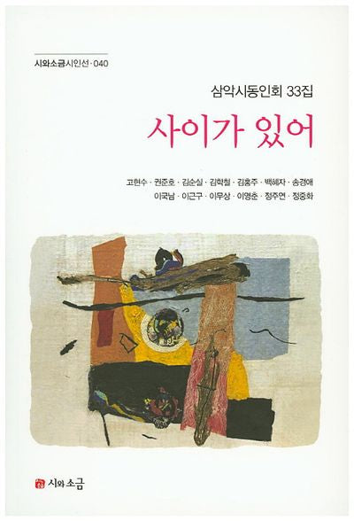 사이가 있어(시와소금시인선 40)