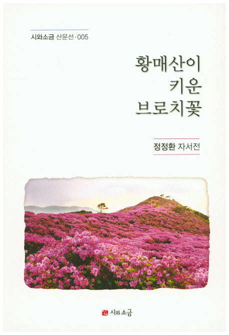 황매산이 키운 브로치꽃(시와소금 산문선 5)