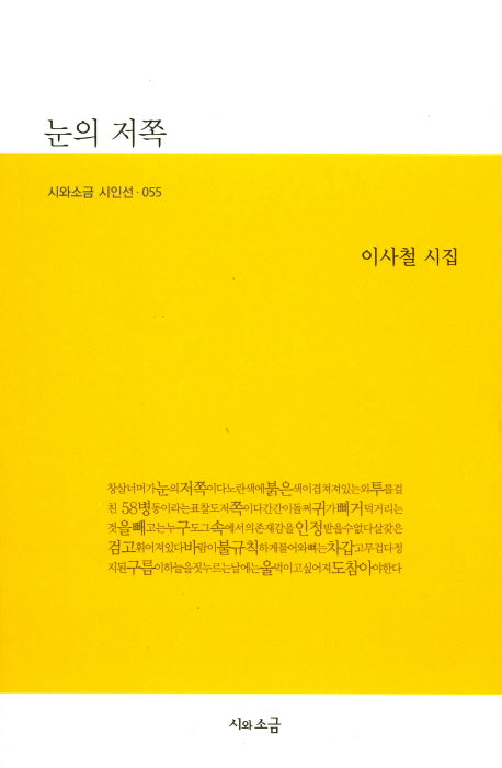 눈의 저쪽(시와소금 시인선 55)