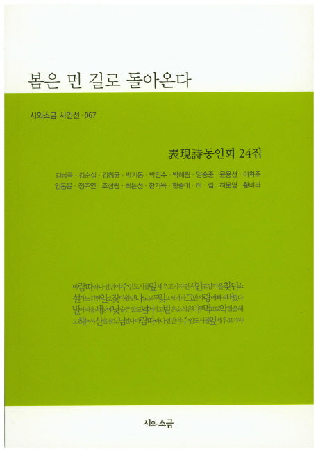 봄은 먼 길로 돌아온다(시와소금 시인선 67)