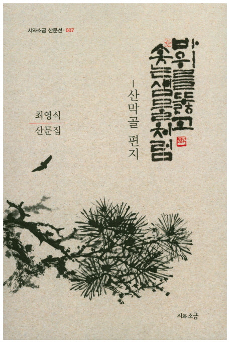 바위를 뚫고 솟는 샘물처럼(시와소금 산문선 7)
