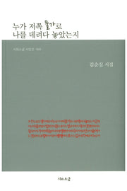 누가 저쪽 물가로 나를 데려다 놓았는지(시와소금 시인선 69)