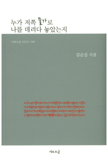 누가 저쪽 물가로 나를 데려다 놓았는지(시와소금 시인선 69)