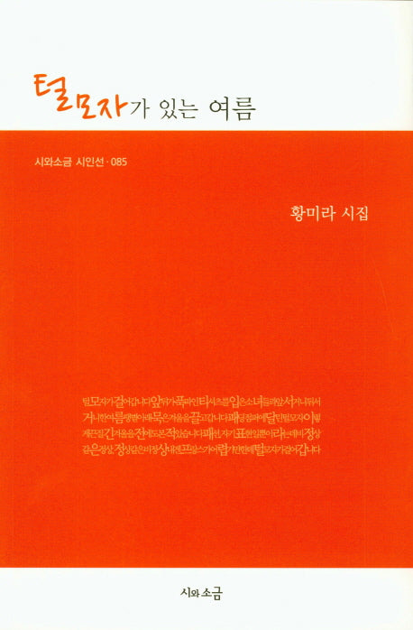 털모자가 있는 여름(시와소금 시인선 85)