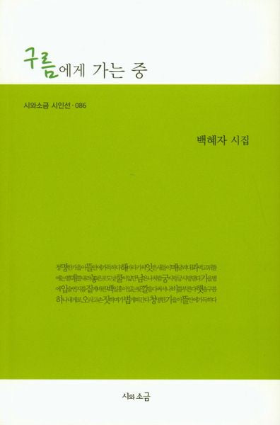 구름에게 가는 중(시와소금 시인선 86)