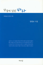 담장에 널린 바다(시와소금 시인선 90)