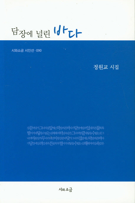 담장에 널린 바다(시와소금 시인선 90)