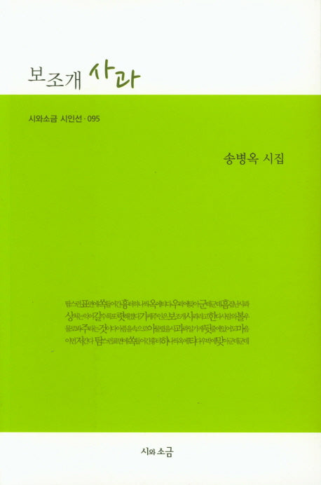 보조개 사과(시와소금 시인선 095)