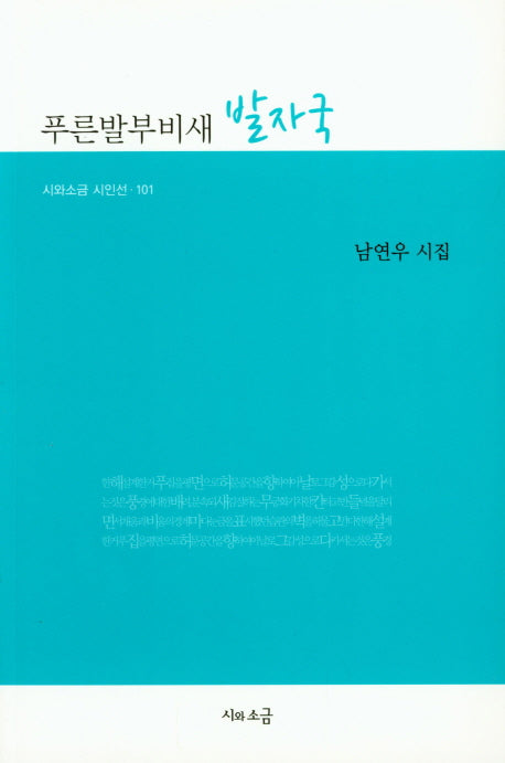 푸른발부비새 발자국(시와소금 시인선 101)