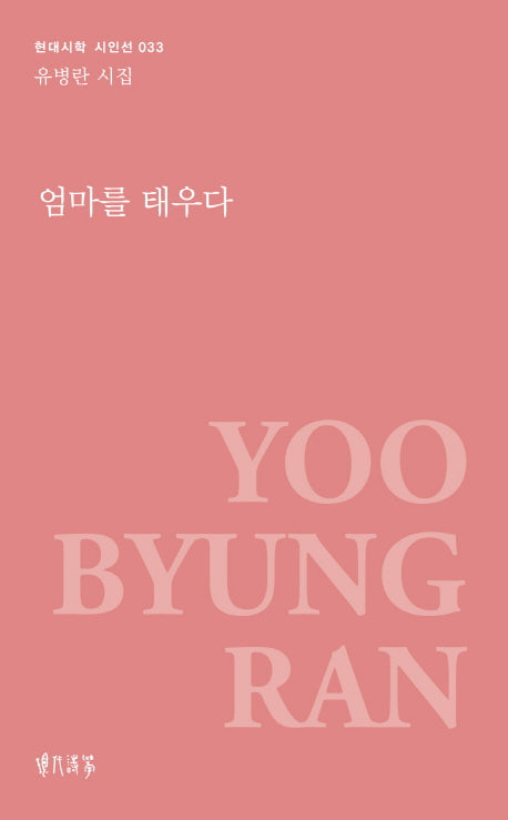 엄마를 태우다(현대시학 시인선 33)