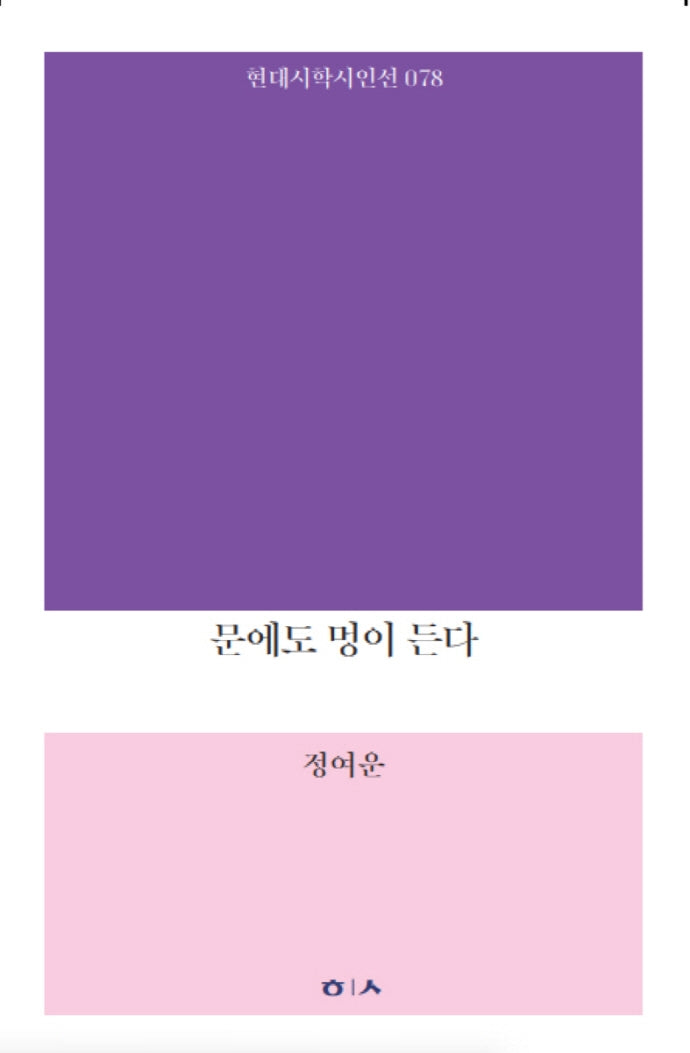 문에도 멍이 든다(현대시학시인선 78)