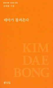 테마가 몰려온다(현대시학 시인선 35)
