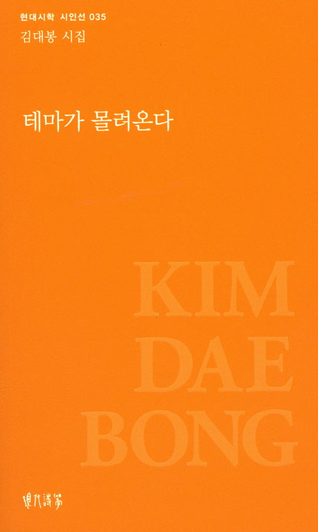 테마가 몰려온다(현대시학 시인선 35)