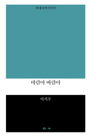 바람아 바람아(현대시학시인선)