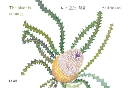 다가오는 식물