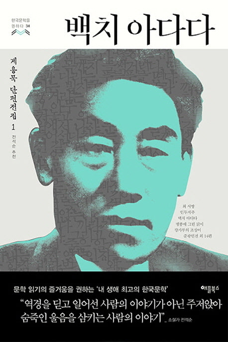백치 아다다(한국문학을 권하다 34)