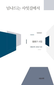 넘나드는 사잇길에서(서정시학 시인선 131)(양장본 HardCover)