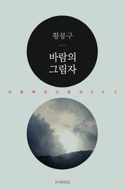 바람의 그림자(아침책상산문선 2)