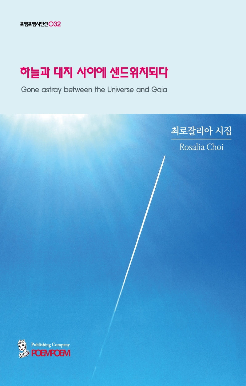 하늘과 대지 사이에 샌드위치되다(포엠포엠시인선 32)