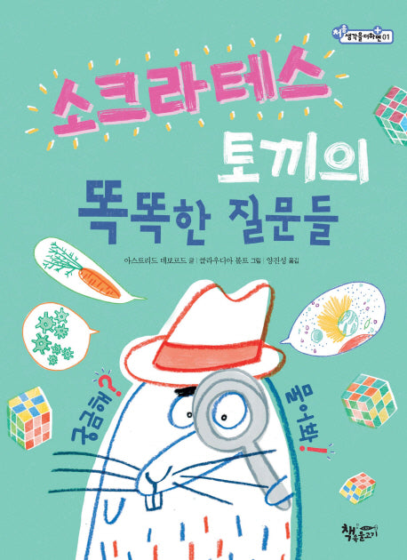 소크라테스 토끼의 똑똑한 질문들(처음 생각을 더하면 1)