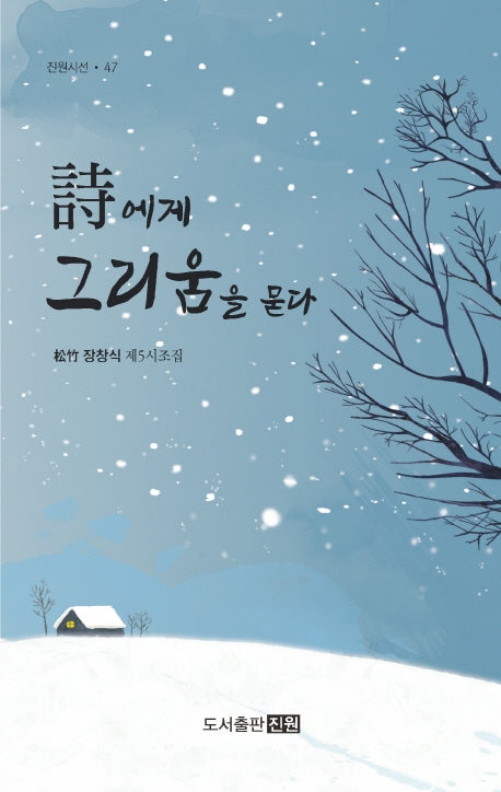 시에게 그리움을 묻다(진원시선 47)