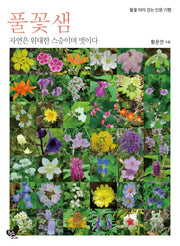 풀꽃샘