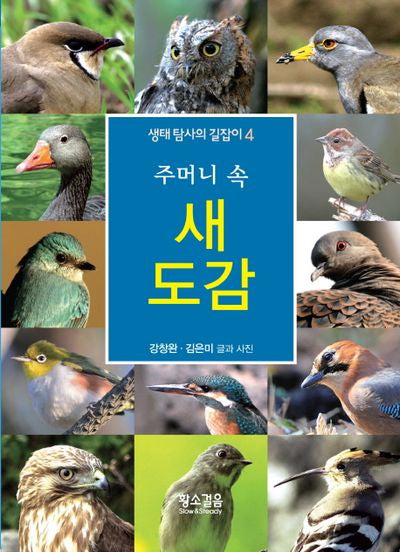 주머니 속 새도감(생태 탐사의 길잡이 4)