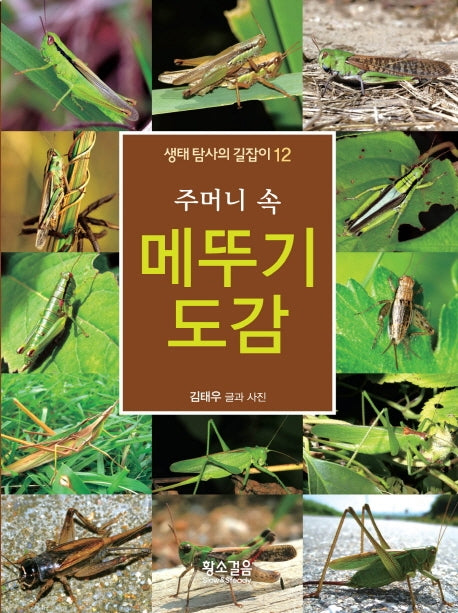 메뚜기 도감(주머니 속)(생태 탐사의 길잡이 12)
