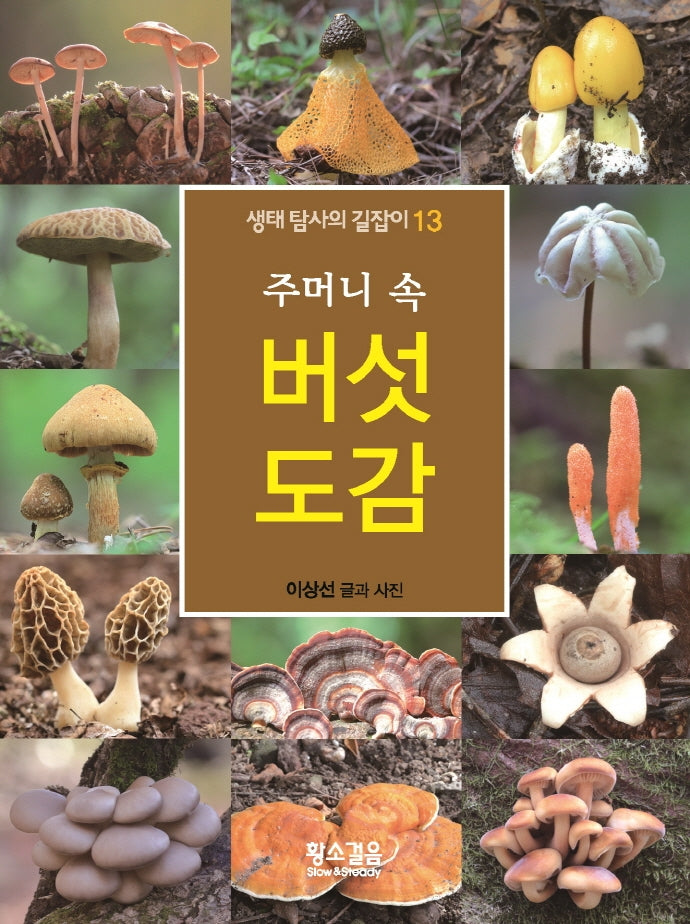 주머니 속 버섯 도감(생태 탐사의 길잡이 13)