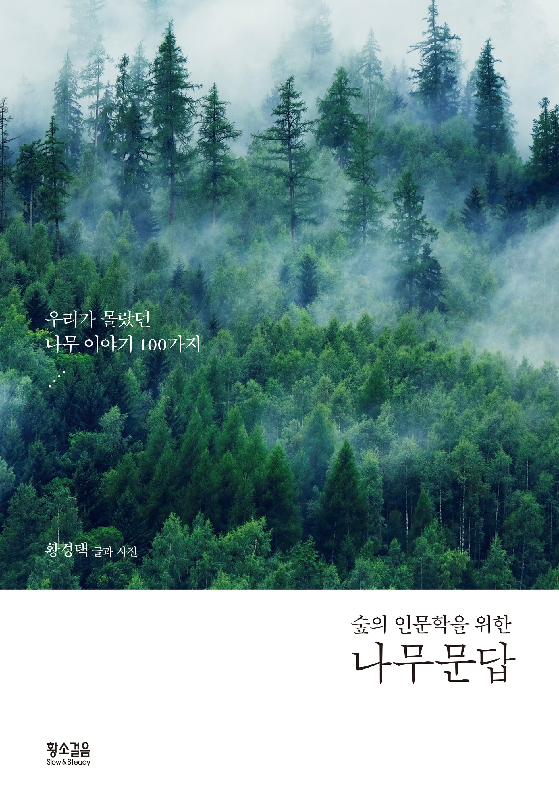 나무 문답