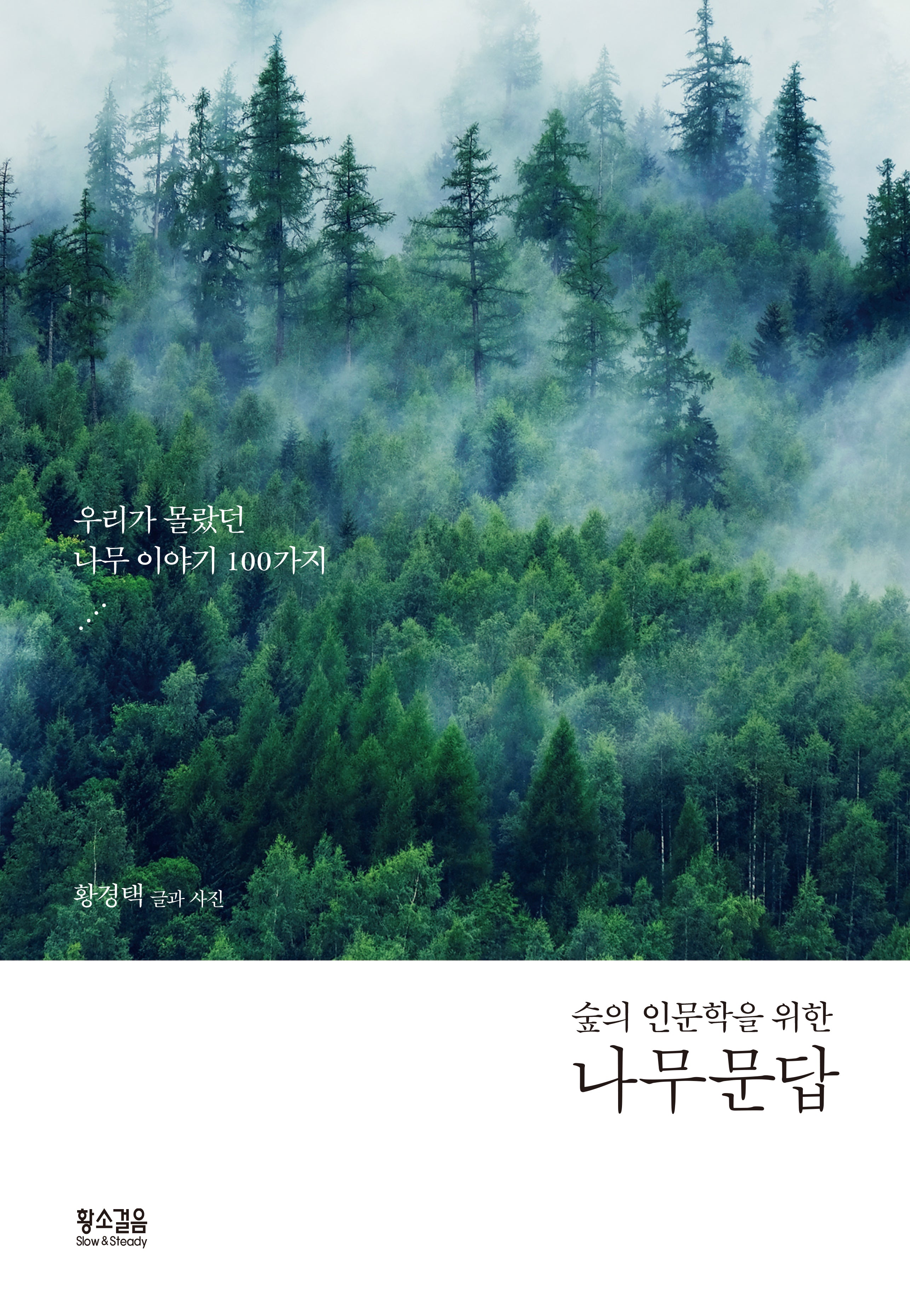 나무 문답