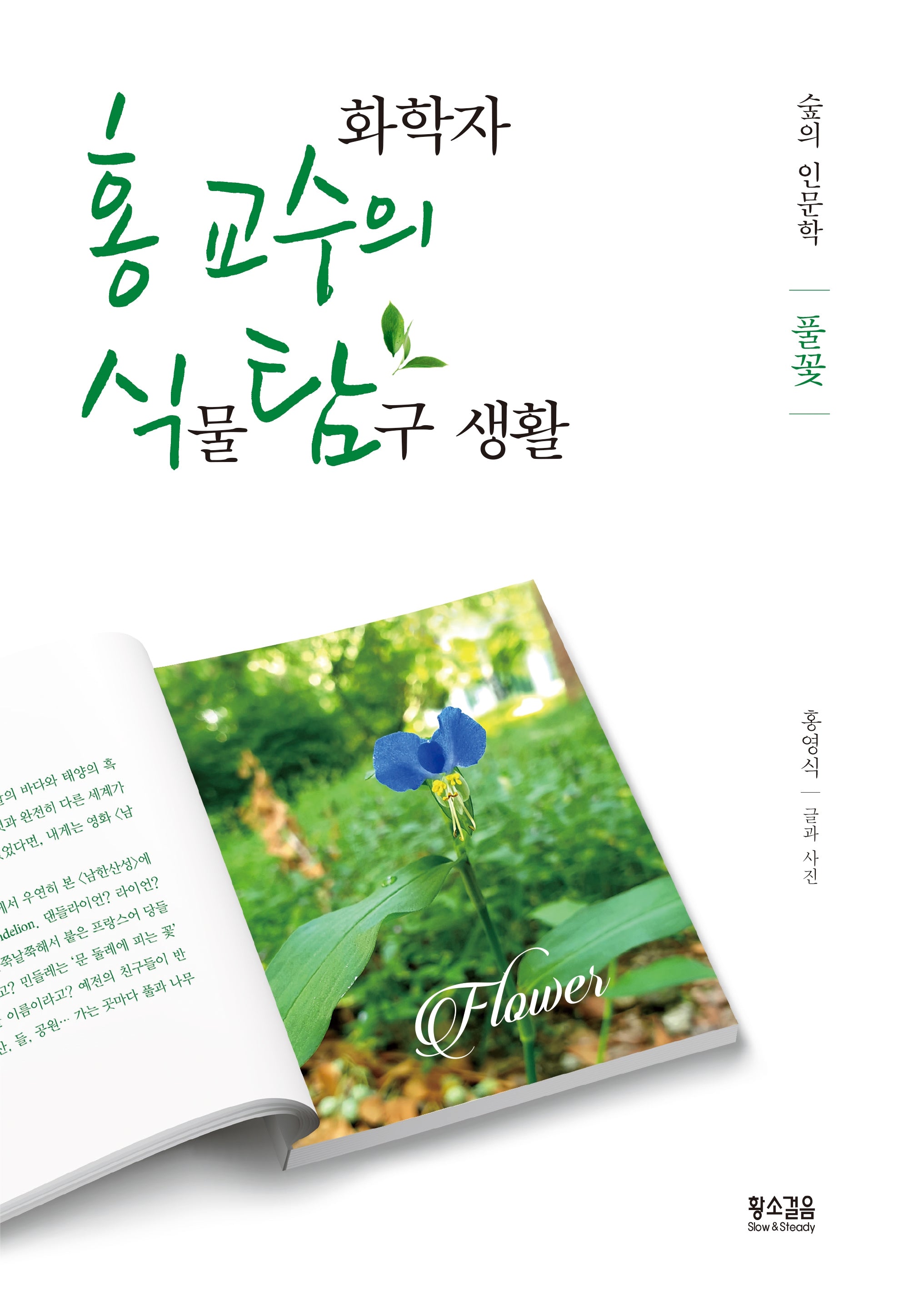 화학자 홍 교수의 식물 탐구 생활: 풀꽃(숲의 인문학)