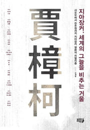지아장커, 세계의 그늘을 비추는 거울