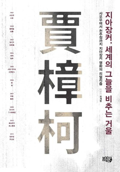 지아장커, 세계의 그늘을 비추는 거울
